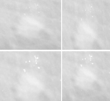 embc cnn placeholder